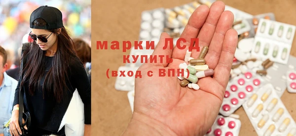 СК Зерноград