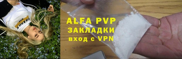 СК Зерноград