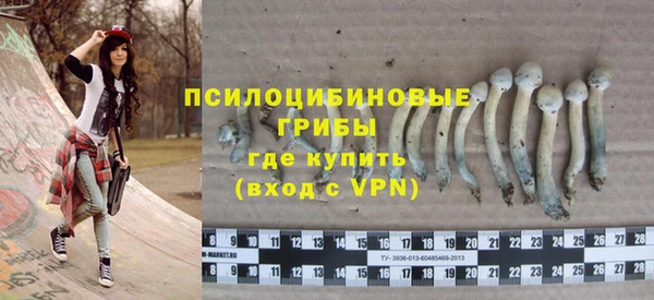 СК Зерноград