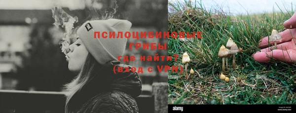 СК Зерноград
