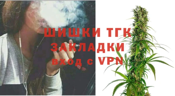 СК Зерноград